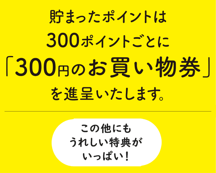 300円のお買い物券